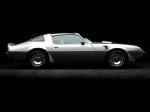 Pontiac Firebird Trans Am 6.6 L80 10th Anniversary Edition 1979 года